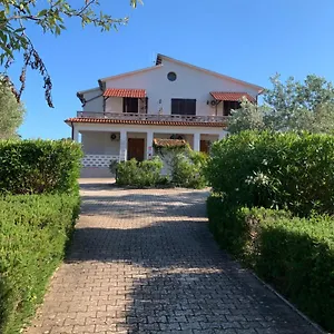 Conti Lacona